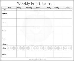 Fitness Journal Template Pdf