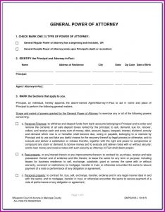 Flea Treatment For Cats In Pill Form