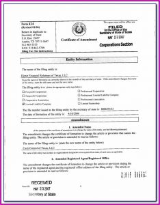 Forming Texas Series Llc