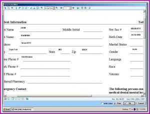 Free Cms 1500 Form Filler