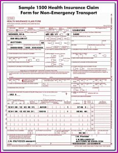 Free Cms 1500 Form Pdf Fillable