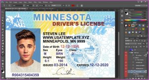 Free Drivers License Template Software