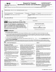 Free Fillable W 9 Form Download