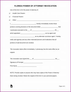 Free Florida Power Of Attorney Form Pdf