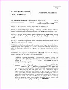 Free Marital Separation Agreement Form Nc