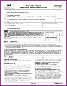 Free Online Fillable W 9 Form