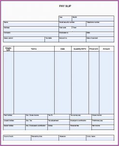 Free Pay Stub Template Canada