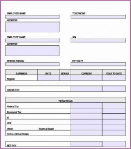 Free Pay Stub Template For Independent Contractor