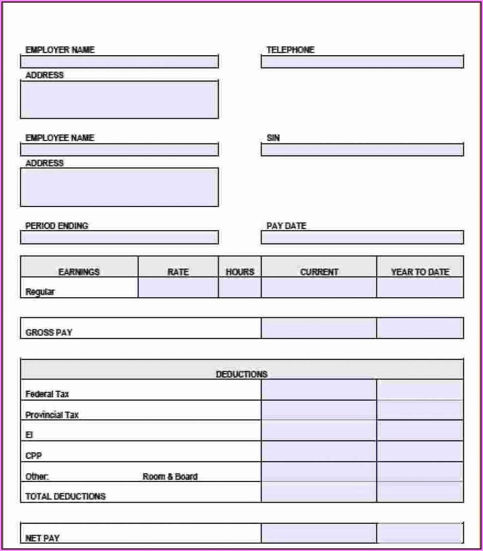 Free Pay Stub Template For Independent Contractor