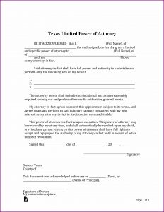 Free Power Of Attorney Form Texas Pdf