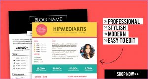 Free Press Kit Template