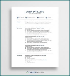 Free Template Resume Microsoft Word