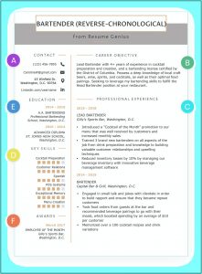 Give Me Resume Format