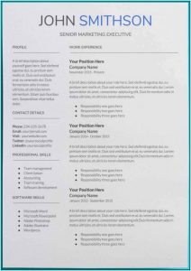 Google Docs Resume Free Template