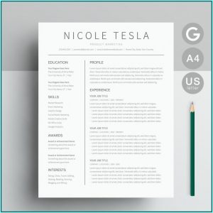 Google Docs Resume Templates Free Download