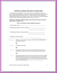 Guardianship Forms Ga