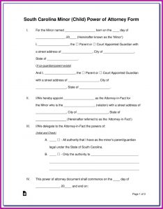 Guardianship Forms Pa
