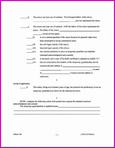 Guardianship Paperwork Georgia