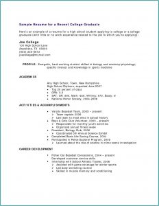 High School Student Resume Templates Free