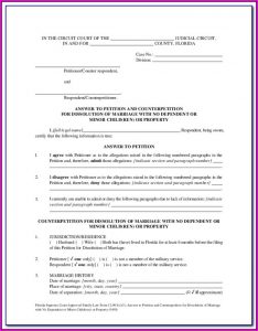 Hillsborough County Fl Divorce Forms