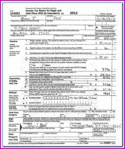 Irs Form 1040ez 2013 Instructions