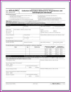 Irs Form 433 A Instructions