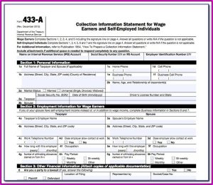 Irs Form 433 F Fillable
