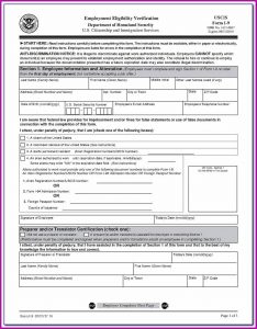 Irs Form W 9 Fillable Pdf