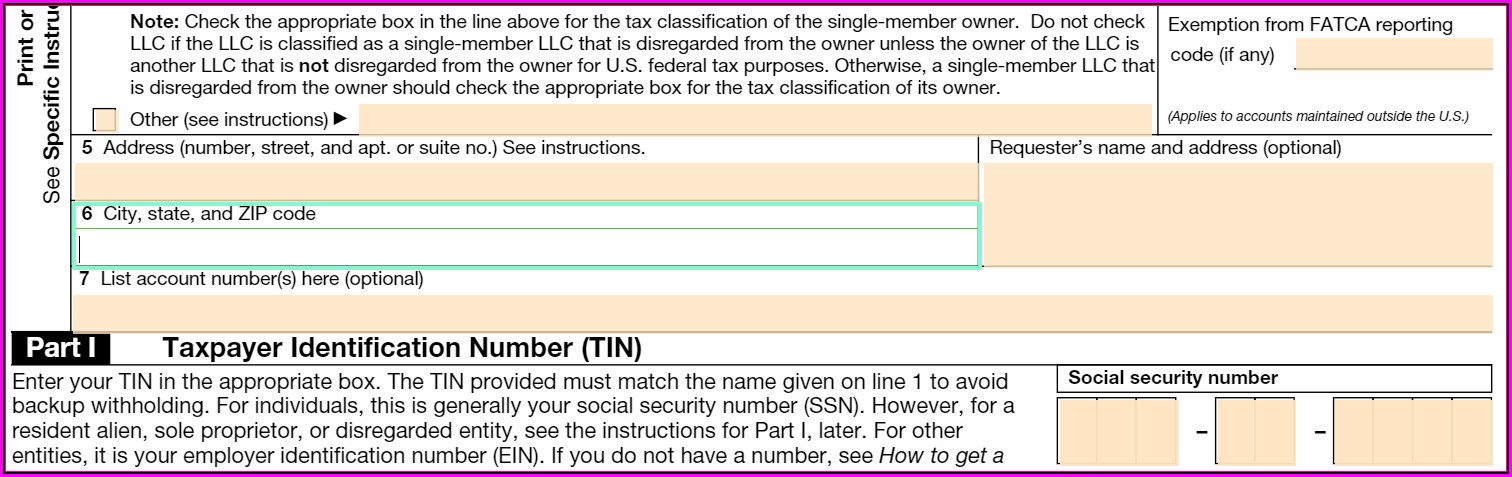 Irs W 9 Form Fillable Online