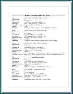 Magento Developer Resume Example