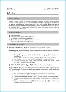 Magento Developer Resume Sample