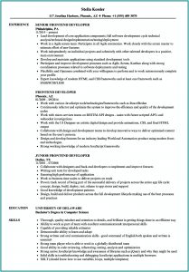 Magento Developer Resume Summary