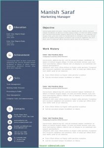 Marketing Resume Templates Free
