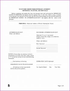Minnesota Medical Power Of Attorney Form Download