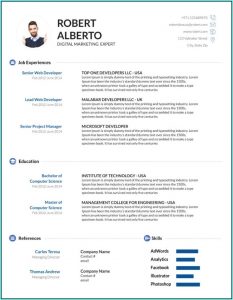 Ms Word Resume Templates Free Download