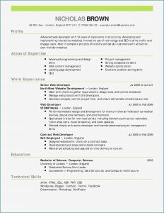 Online Resume Maker Professional Free