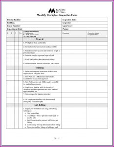 Osha Ladder Inspection Forms