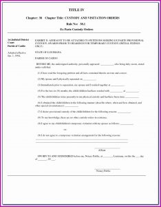 Permanent Guardianship Forms Georgia