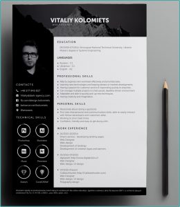 Pretty Resume Templates Free