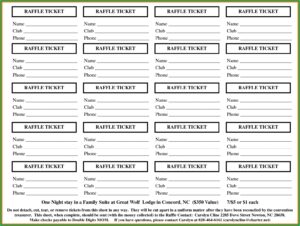 Printable Blank Raffle Tickets Template