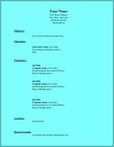 Printable Resume Format