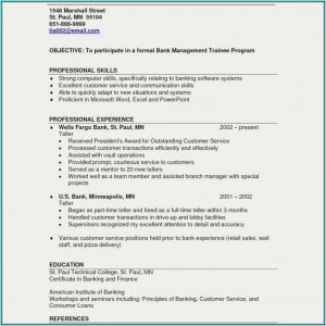 Professional Resume Writing Services Minneapolis