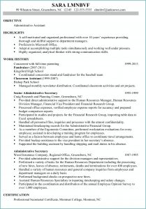 Ready Made Resume For Job