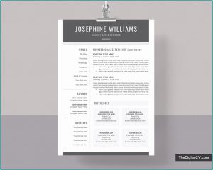 Ready Made Resume Free Download