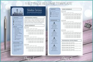 Real Estate Agent Cv Template