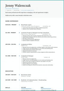 Real Estate Agent Resume Templates