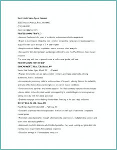 Real Estate Sales Resume Templates