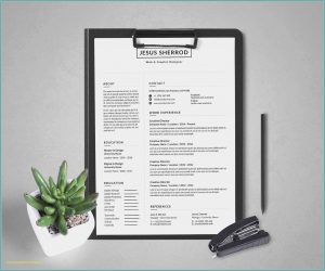 Resume Builder Program Download