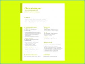 Resume Builder Software Download