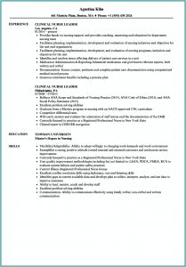 Resume Examples For Leadership